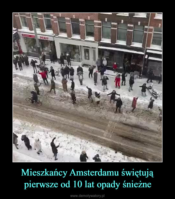 Mieszkańcy Amsterdamu świętują pierwsze od 10 lat opady śnieżne –  