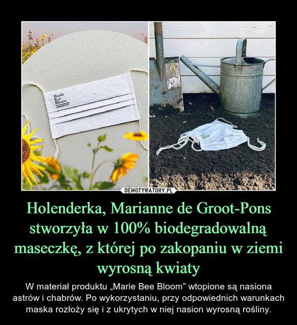 Holenderka, Marianne de Groot-Pons stworzyła w 100% biodegradowalną maseczkę, z której po zakopaniu w ziemi wyrosną kwiaty – W materiał produktu „Marie Bee Bloom” wtopione są nasiona astrów i chabrów. Po wykorzystaniu, przy odpowiednich warunkach maska rozłoży się i z ukrytych w niej nasion wyrosną rośliny. 
