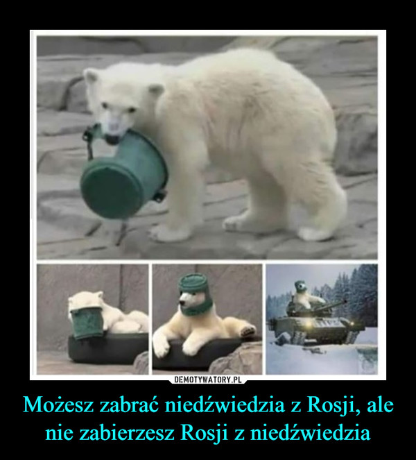 Możesz zabrać niedźwiedzia z Rosji, ale nie zabierzesz Rosji z niedźwiedzia