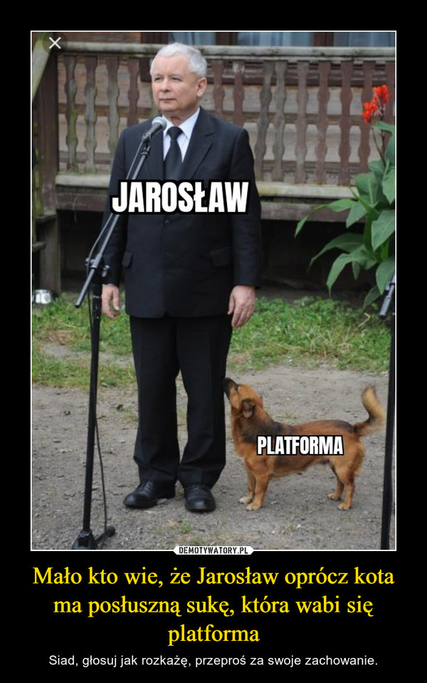 Mało kto wie, że Jarosław oprócz kota ma posłuszną sukę, która wabi się platforma – Siad, głosuj jak rozkażę, przeproś za swoje zachowanie. 