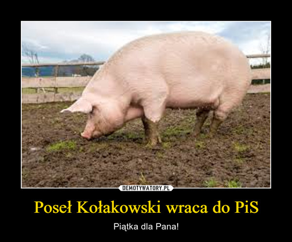 Poseł Kołakowski wraca do PiS