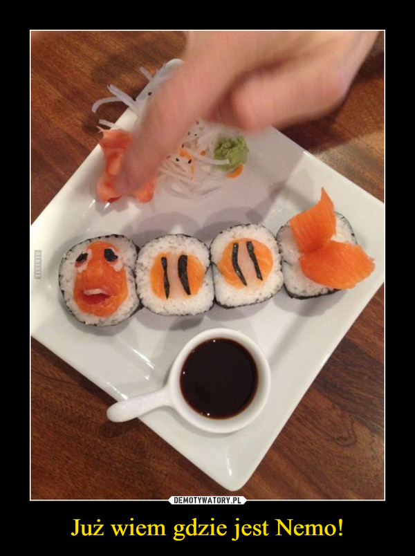 Już wiem gdzie jest Nemo! –  