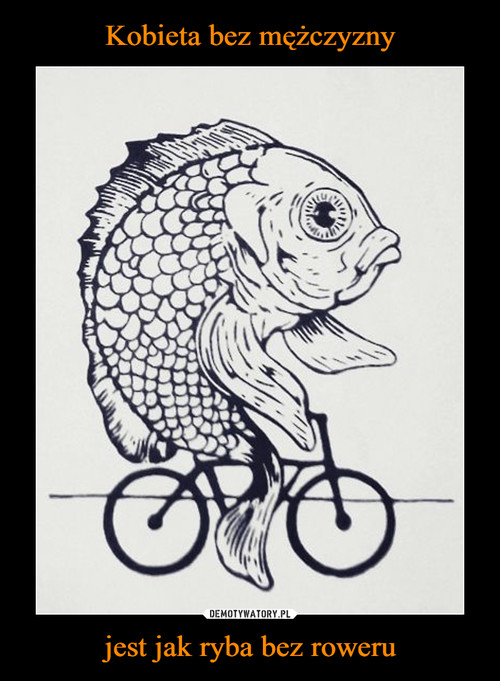 Kobieta bez mężczyzny jest jak ryba bez roweru