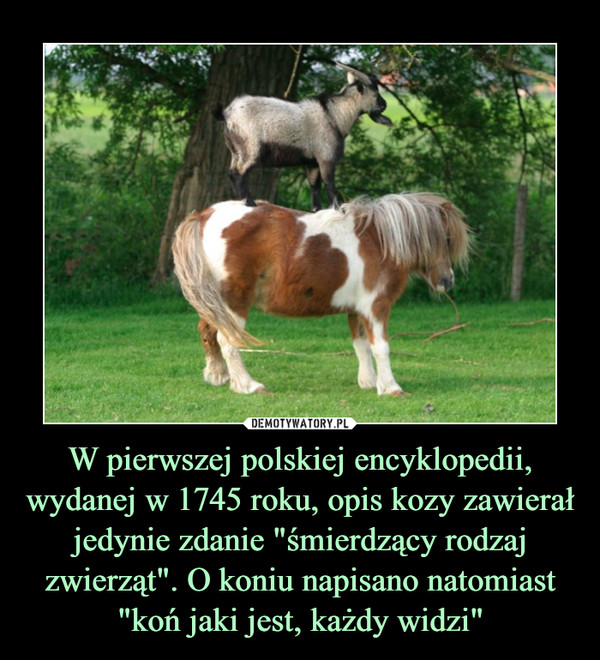 W pierwszej polskiej encyklopedii, wydanej w 1745 roku, opis kozy zawierał jedynie zdanie "śmierdzący rodzaj zwierząt". O koniu napisano natomiast "koń jaki jest, każdy widzi"