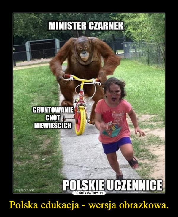 Polska edukacja - wersja obrazkowa.