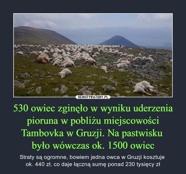 530 owiec zginęło w wyniku uderzenia pioruna w pobliżu miejscowości Tambovka w Gruzji. Na pastwisku było wówczas ok. 1500 owiec – Straty są ogromne, bowiem jedna owca w Gruzji kosztuje ok. 440 zł, co daje łączną sumę ponad 230 tysięcy zł 