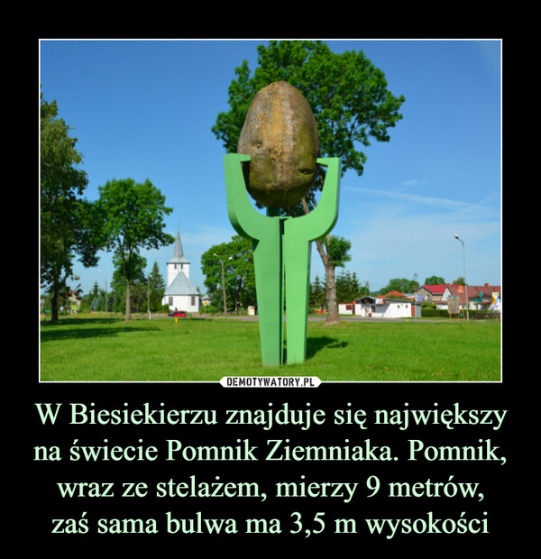 W Biesiekierzu znajduje się największy na świecie Pomnik Ziemniaka. Pomnik, wraz ze stelażem, mierzy 9 metrów,zaś sama bulwa ma 3,5 m wysokości –  