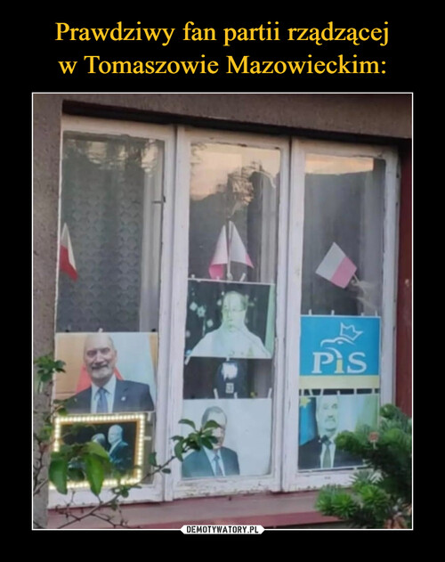Prawdziwy fan partii rządzącej
w Tomaszowie Mazowieckim: