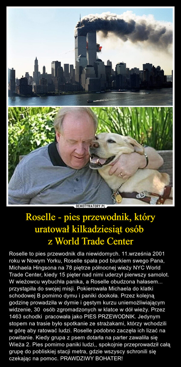 Roselle - pies przewodnik, który uratował kilkadziesiąt osób 
z World Trade Center