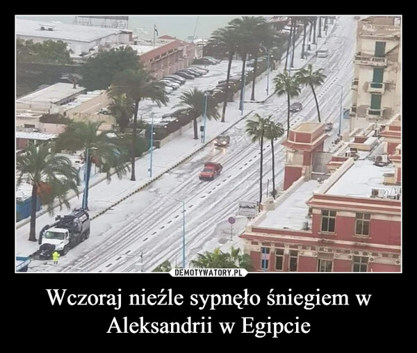 Wczoraj nieźle sypnęło śniegiem w Aleksandrii w Egipcie –  