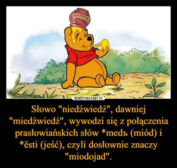 Słowo "niedźwiedź", dawniej "miedźwiedź", wywodzi się z połączenia prasłowiańskich słów *medъ (miód) i *ěsti (jeść), czyli dosłownie znaczy "miodojad". –  