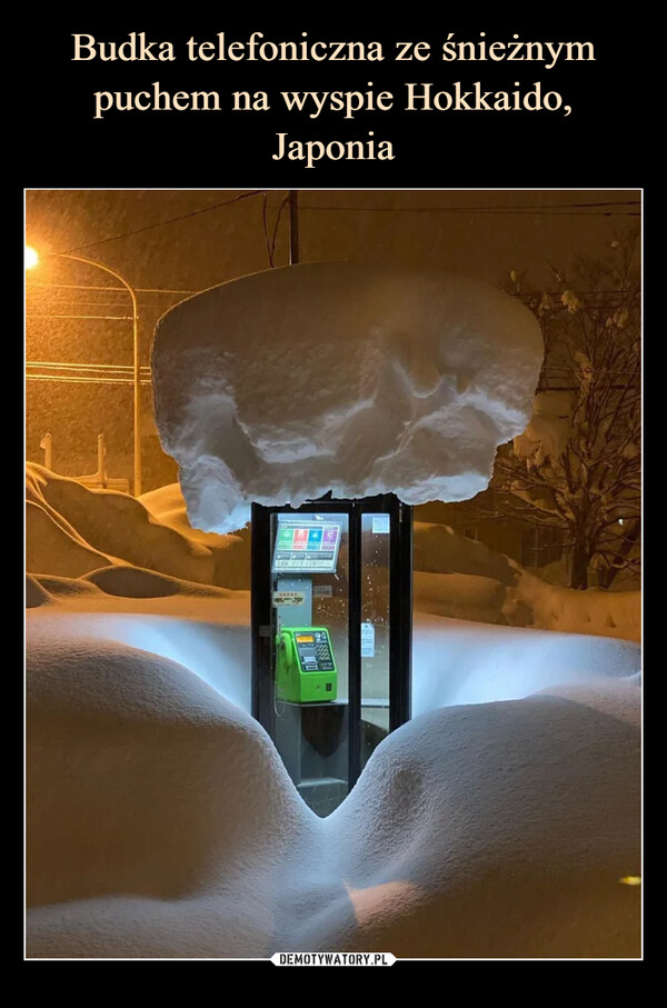 Budka telefoniczna ze śnieżnym puchem na wyspie Hokkaido, Japonia