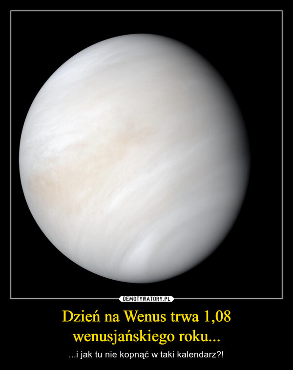 Dzień na Wenus trwa 1,08 wenusjańskiego roku... – ...i jak tu nie kopnąć w taki kalendarz?! 