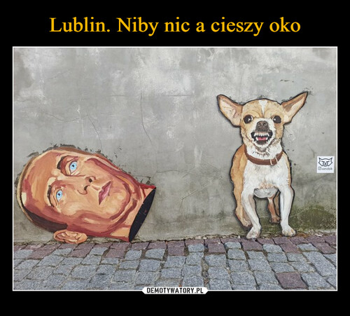 Lublin. Niby nic a cieszy oko