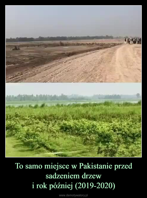 To samo miejsce w Pakistanie przed sadzeniem drzewi rok później (2019-2020) –  