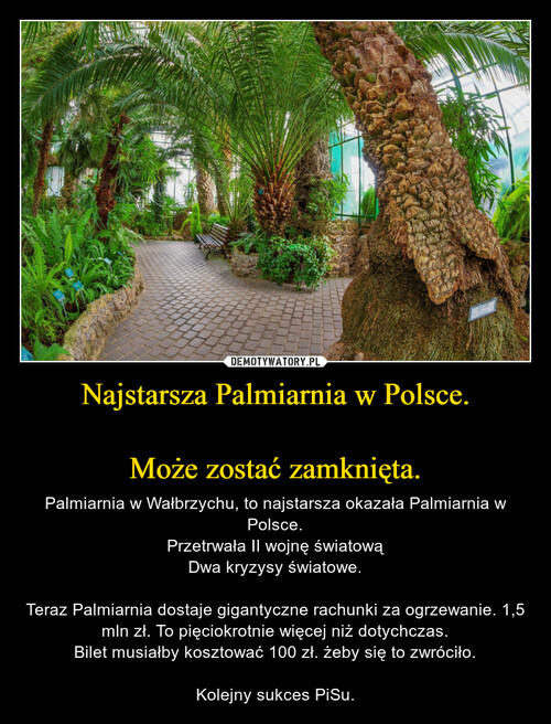 Najstarsza Palmiarnia w Polsce.

Może zostać zamknięta.