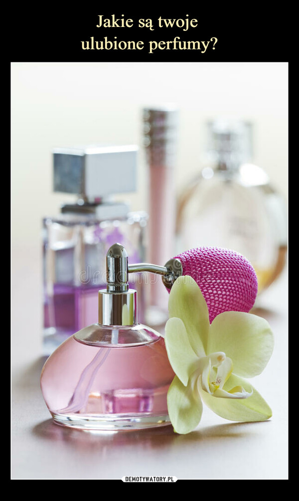 Jakie są twoje 
ulubione perfumy?