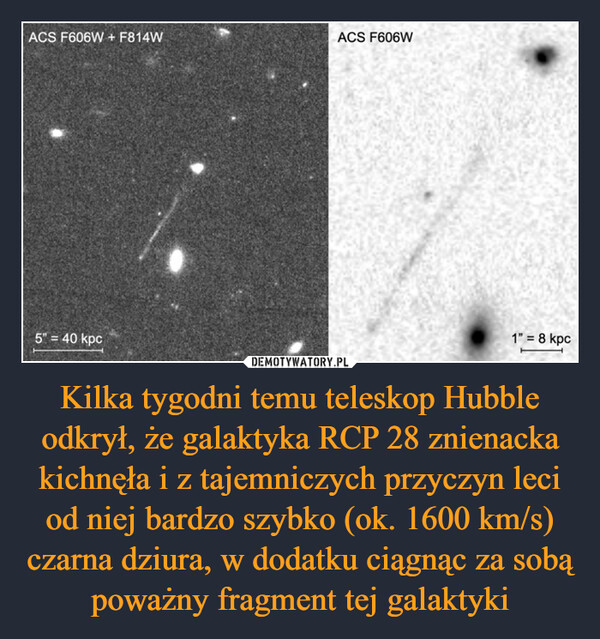 Kilka tygodni temu teleskop Hubble odkrył, że galaktyka RCP 28 znienacka kichnęła i z tajemniczych przyczyn leci od niej bardzo szybko (ok. 1600 km/s) czarna dziura, w dodatku ciągnąc za sobą poważny fragment tej galaktyki