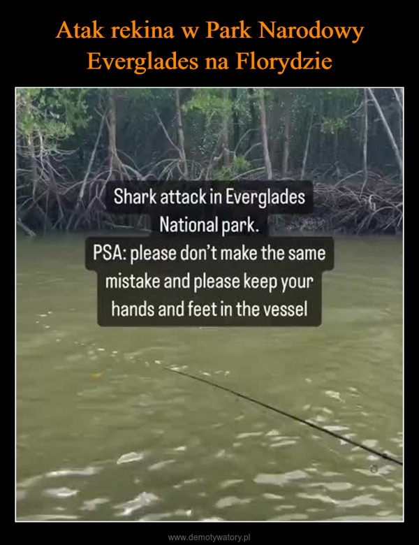  –  Shark attack in EvergladesNational park.PSA: please don't make the samemistake and please keep yourhands and feet in the vessel