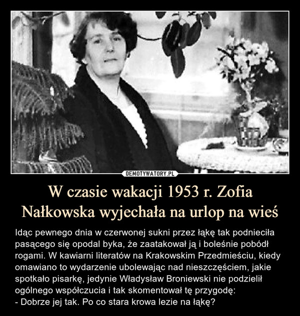W czasie wakacji 1953 r. Zofia Nałkowska wyjechała na urlop na wieś – Idąc pewnego dnia w czerwonej sukni przez łąkę tak podnieciła pasącego się opodal byka, że zaatakował ją i boleśnie pobódł rogami. W kawiarni literatów na Krakowskim Przedmieściu, kiedy omawiano to wydarzenie ubolewając nad nieszczęściem, jakie spotkało pisarkę, jedynie Władysław Broniewski nie podzielił ogólnego współczucia i tak skomentował tę przygodę:- Dobrze jej tak. Po co stara krowa lezie na łąkę? Idąc pewnego dnia w czerwonej sukni przez łąkę tak podnieciła pasącego się opodal byka, że zaatakował ją i boleśnie pobódł rogami. W kawiarni literatów na Krakowskim Przedmieściu, kiedy omawiano to wydarzenie ubolewając nad nieszczęściem, jakie spotkało pisarkę, jedynie Władysław Broniewski nie podzielił ogólnego współczucia i tak skomentował tę przygodę:- Dobrze jej tak. Po co stara krowa lezie na łąkę?