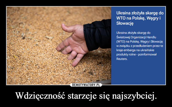 Wdzięczność starzeje się najszybciej. –  Ukraina złożyła skargę doWTO na Polskę, Węgry iSłowacjęUkraina złożyła skargę doŚwiatowej Organizacji Handlu(WTO) na Polskę, Węgry i Słowacjęw związku z przedłużeniem przez tekraje embarga na ukraińskieprodukty rolne - poinformowałReuters.