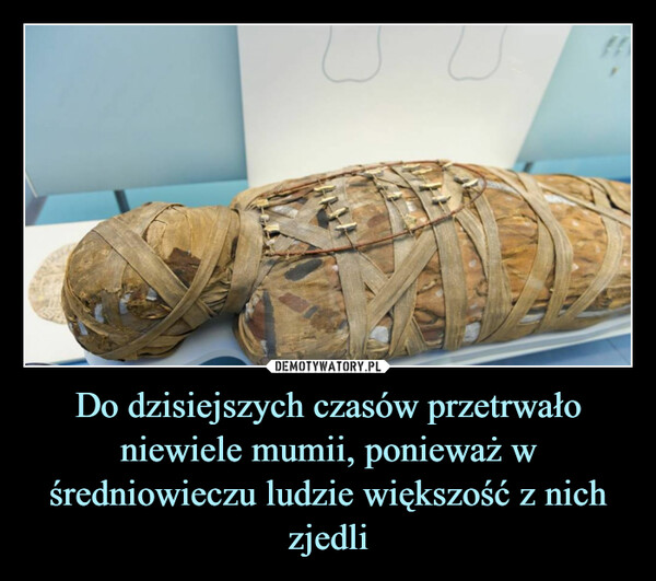 Do dzisiejszych czasów przetrwało niewiele mumii, ponieważ w średniowieczu ludzie większość z nich zjedli –  