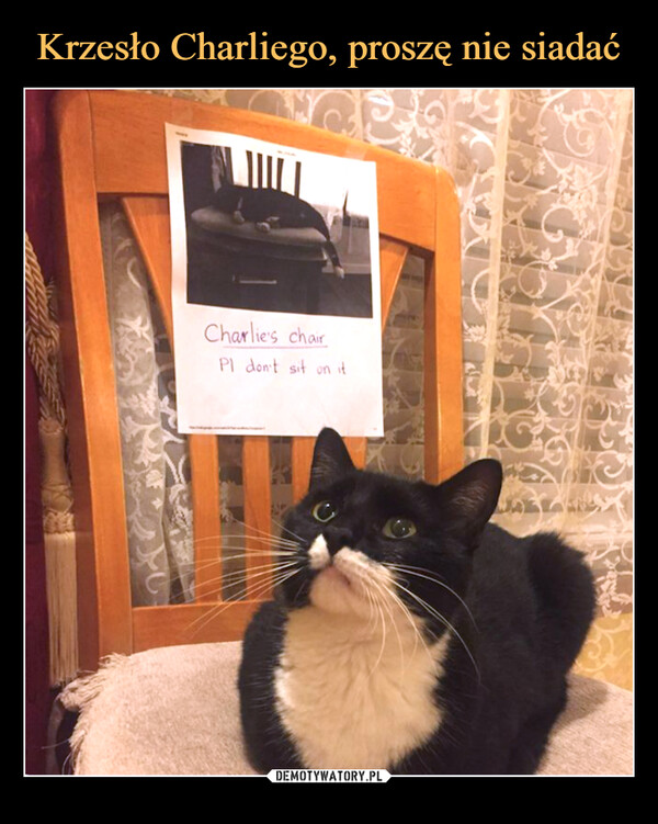 Krzesło Charliego, proszę nie siadać