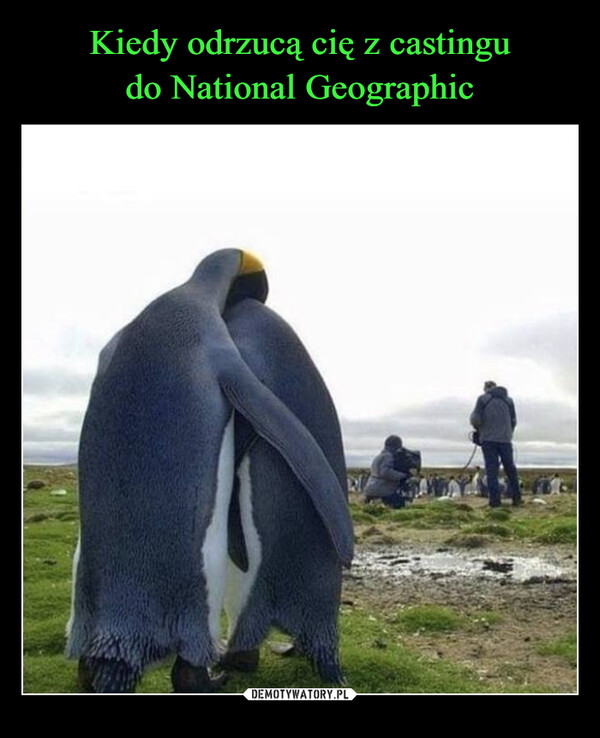 Kiedy odrzucą cię z castingu
do National Geographic