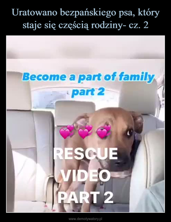  –  Become a part of familypart 2RESCUEVIDEOPART 2Where we goin'?