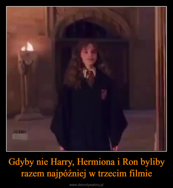 Gdyby nie Harry, Hermiona i Ron byliby razem najpóźniej w trzecim filmie –  FUCKBBY