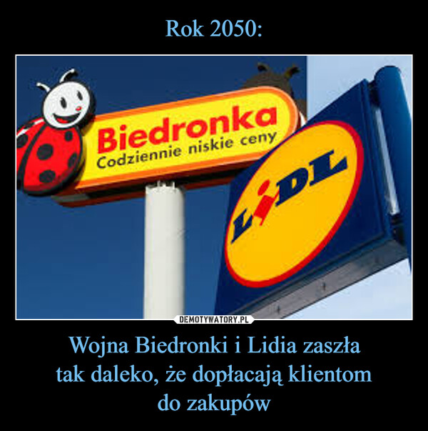 Wojna Biedronki i Lidia zaszłatak daleko, że dopłacają klientomdo zakupów –  BiedronkaCodziennie niskie cenyLIDL