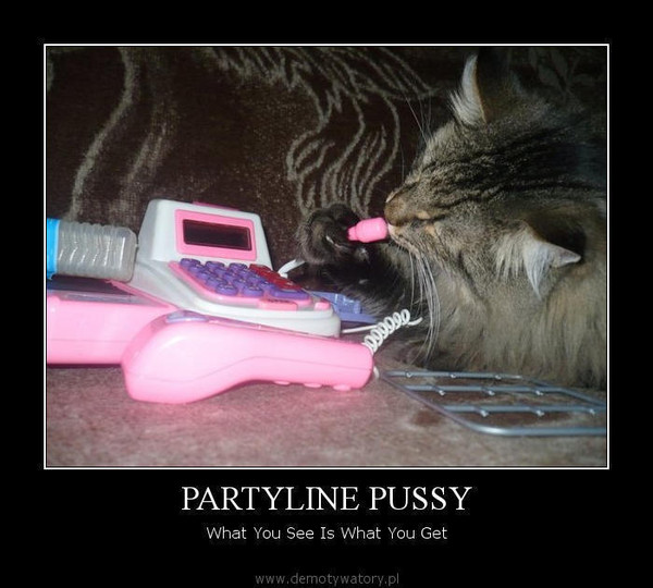 PARTYLINE PUSSY – What You See Is What You Get  